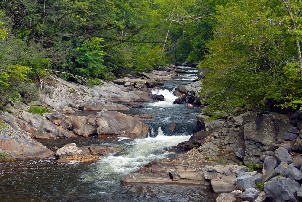 Many Rivers to&nbsp;Cross